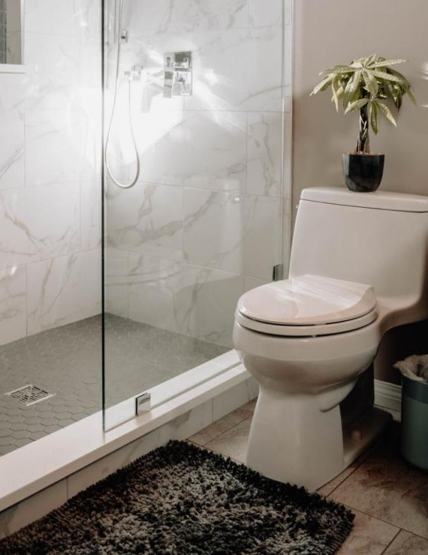 How to choose right toilet seat?